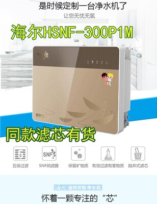 海尔施特劳斯净水机器滤芯10寸