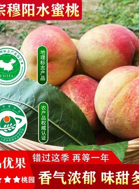 福安穆阳水蜜桃产地直发