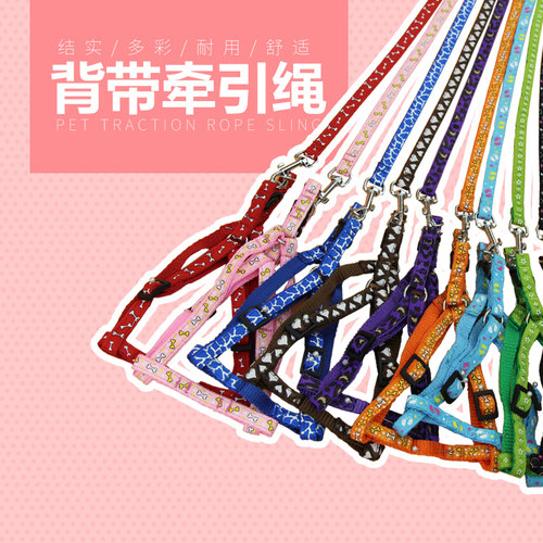 狗牵引绳背带泰迪博美猫小型