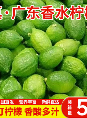 广东香水柠檬现摘装奶茶店专用