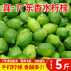 正宗广东香水柠檬新鲜青柠檬一级无籽爆香型山地果现摘奶茶店同款