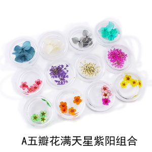 美甲干花指甲饰品美甲装饰小花小白花真花叶子混装干花日系