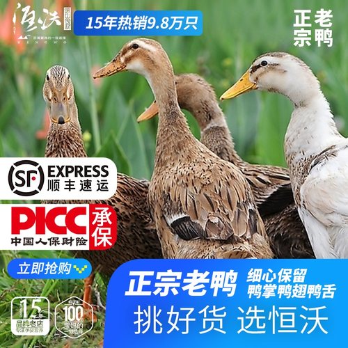 顺丰空运正宗老鸭整只鸭新鲜土鸭多年农家散养水鸭麻鸭肉生鲜鸭子 - 封面