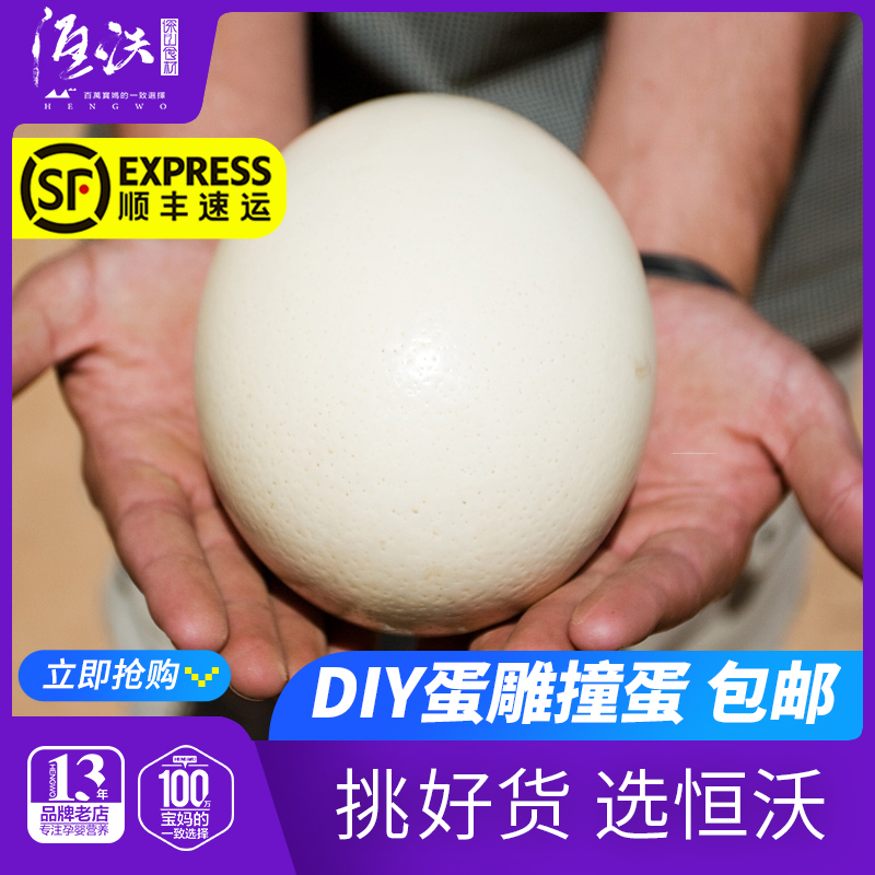 鸵鸟蛋壳礼品恒沃鸵鸟蛋蛋壳雕刻用空蛋壳超大蛋壳包邮DIY蛋雕撞