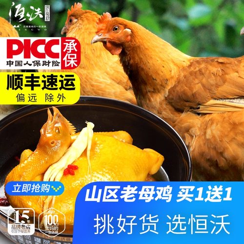 2只土鸡南瓜鸡跑活体包新鲜
