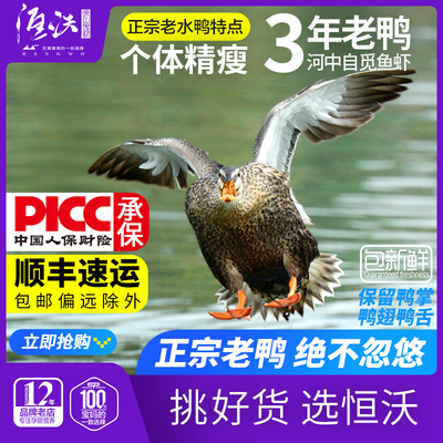 浙江农家散养新鲜老鸭3年恒蜂源