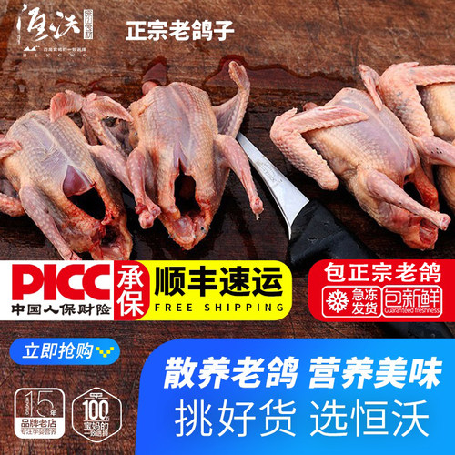 精选老鸽子新鲜鸽子肉散养3只