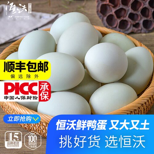 生鸭蛋新鲜农家散养青皮鲜生鸭蛋