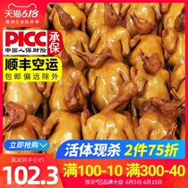 Fresh pigeon roast pigeon meat selected local pigeon live pigeon meat