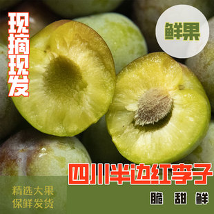 2026.7月见 现摘现发 眉山正宗自家果园半边红李子新鲜当季