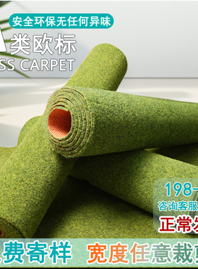 绿色地毯高级感苔藓商用入户门草坪仿草卧室草皮草地客厅户外地垫