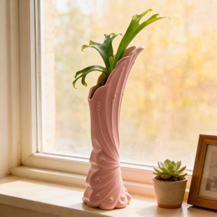 大口径优雅孔雀鹿角蕨种植盆3d打印桌面定植盆异形盆种花家用花盆