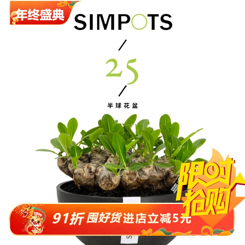 加厚simpots半球型日本黑胶花盆极简网红抗粉化象牙宫块根盆包邮
