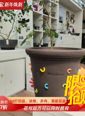 摩卡森林甜甜圈10*9小清新桌面网红陶盆花器块根仙人球热植花盆