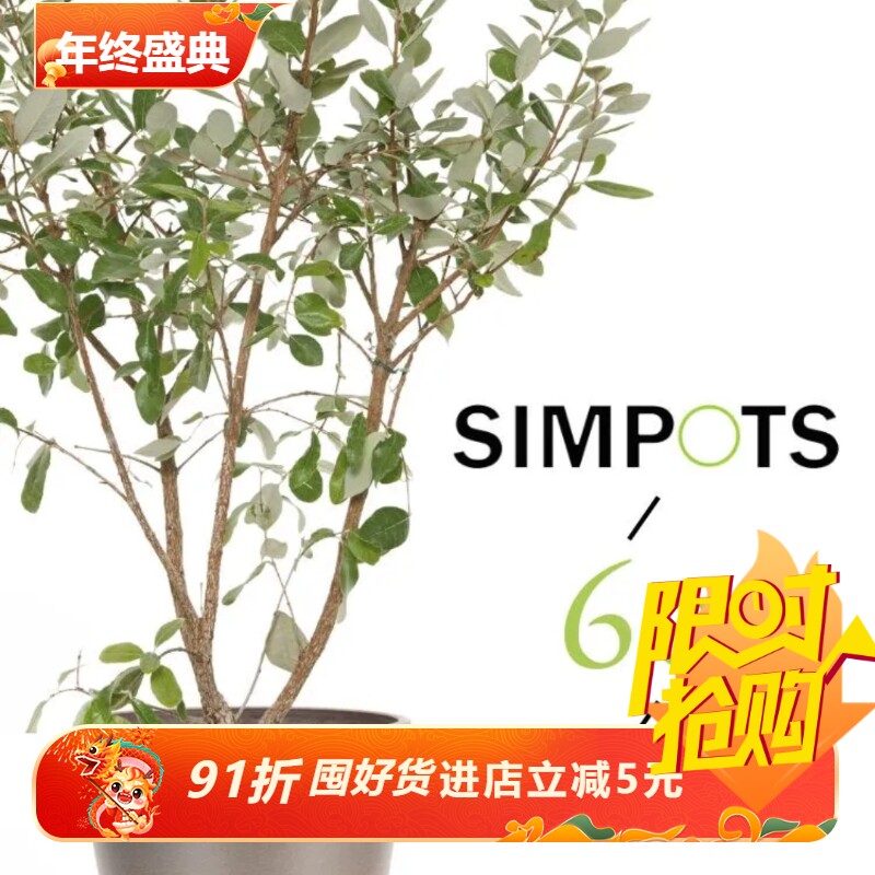 加大加厚simpots标圆日本黑胶花盆60口径客厅户外绿植热植专用盆