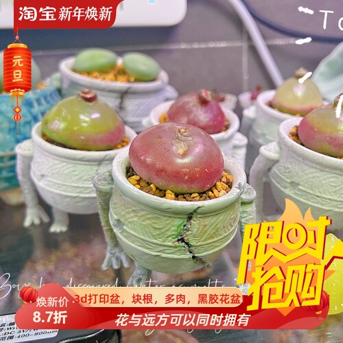 行走的怪兽块根仙人球3d打印漂亮的桌面盆器龙舌兰肉肉迷你花盆