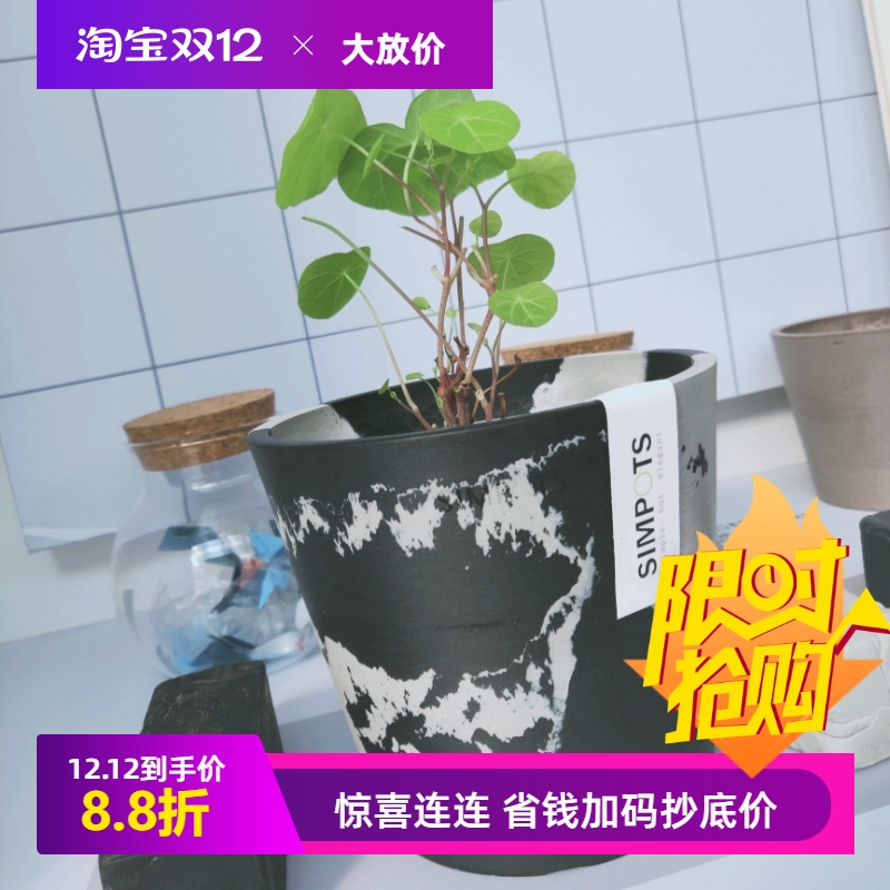 无相黑胶花盆13*11园艺盆龟甲龙块根植物多肉热植现代简约花器