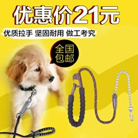 Dây xích chó chó chuỗi lông vàng kích thước chó chó dây cung cấp Teddy chó con chó mèo dây với - Cat / Dog hàng ngày Neccessities đồ uống nước cho chó