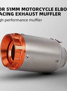 摩托车CB300R MT07S1000RR MT09R3赛600排气管改装AR圆坑通用尾段