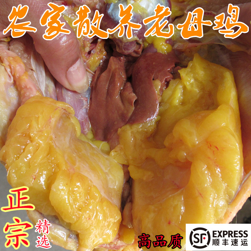 正宗土鸡苏北农家散养老母鸡草鸡鸡肉/鸡肉制品