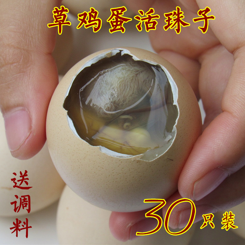农家13天新鲜活珠子 草鸡蛋活珠子 鸡胚蛋 毛蛋 喜蛋 旺鸡蛋 包邮
