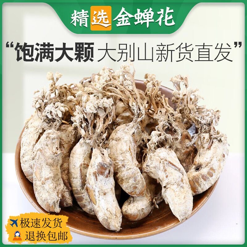野生金蝉花虫草花正品包邮金蝉花2026新鲜中药煲汤好伴侣静养汤图片