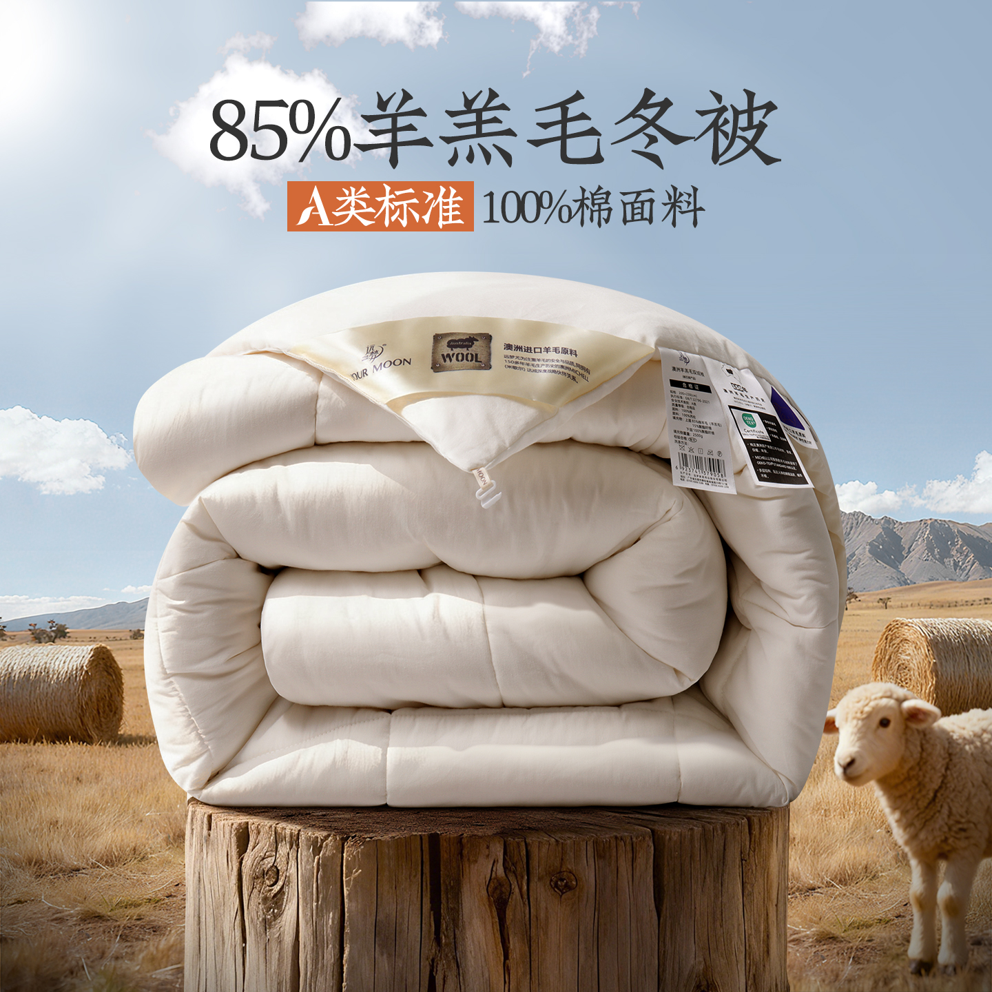 远梦澳洲羊羔毛加厚保暖进口床品