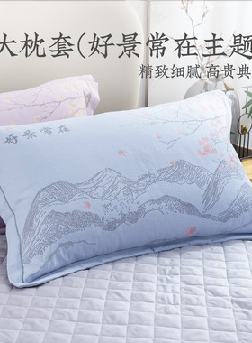 远梦家纺枕头套纯棉全棉54cm×80cm学生单人枕芯套家用枕套单只装
