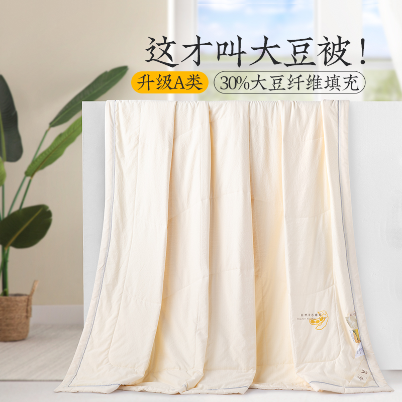 远梦大豆被夏天夏凉被图片