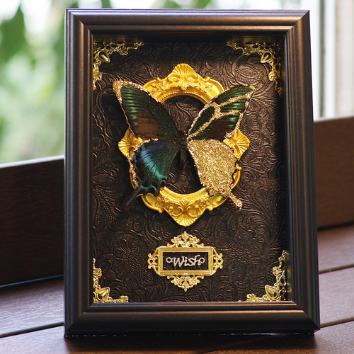 真蝴蝶标本相框摆件金箔装饰画情侣高级感七夕教师节生日礼物成品