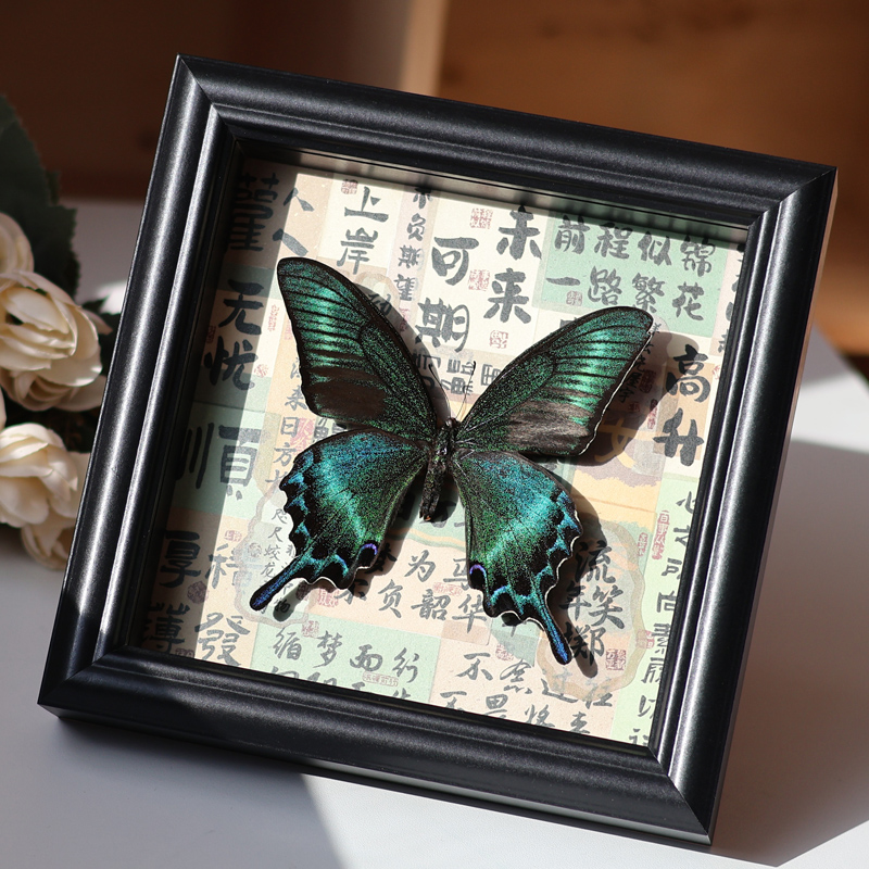 真蝴蝶标本相框摆件画中高考百日誓师毕业生日礼物送同学生男女友