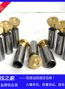 Metaris液压柱塞泵变量泵MA10VSO71油泵M10VO71 柱塞泵胆维修配件