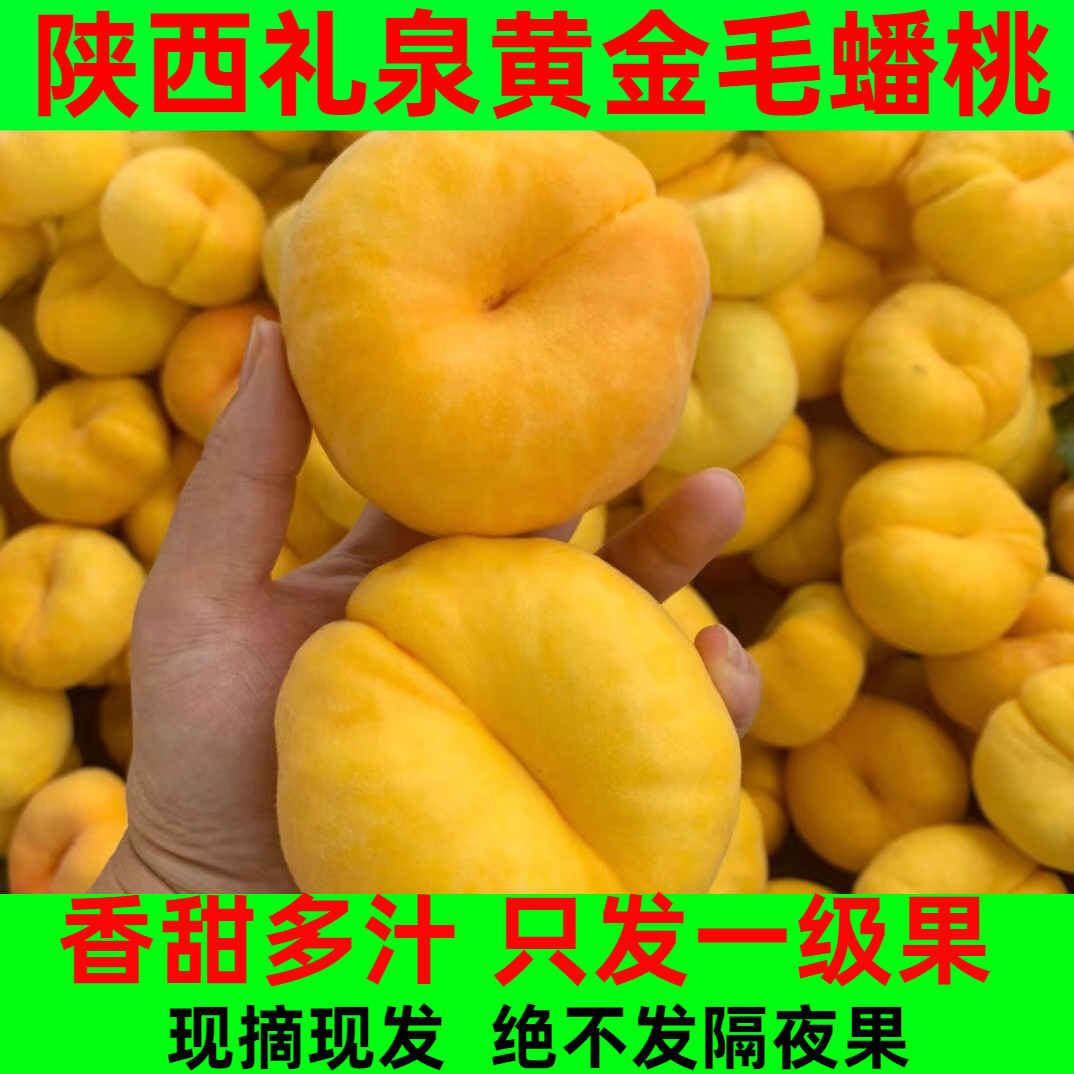 陕西黄金大蟠桃!香甜!大大大