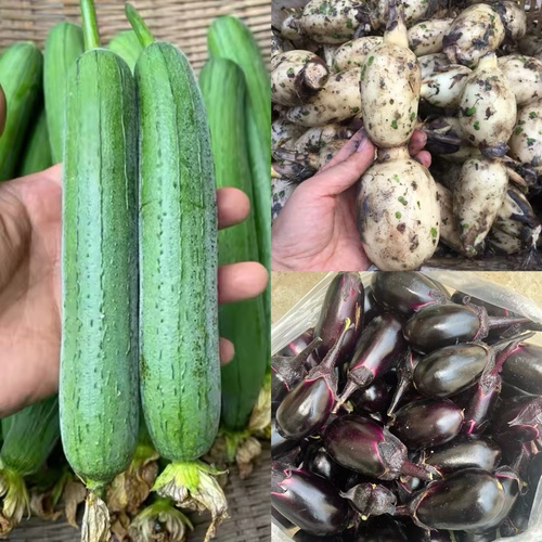 丝瓜+小紫茄子+脆嫩藕共五斤 重量均分