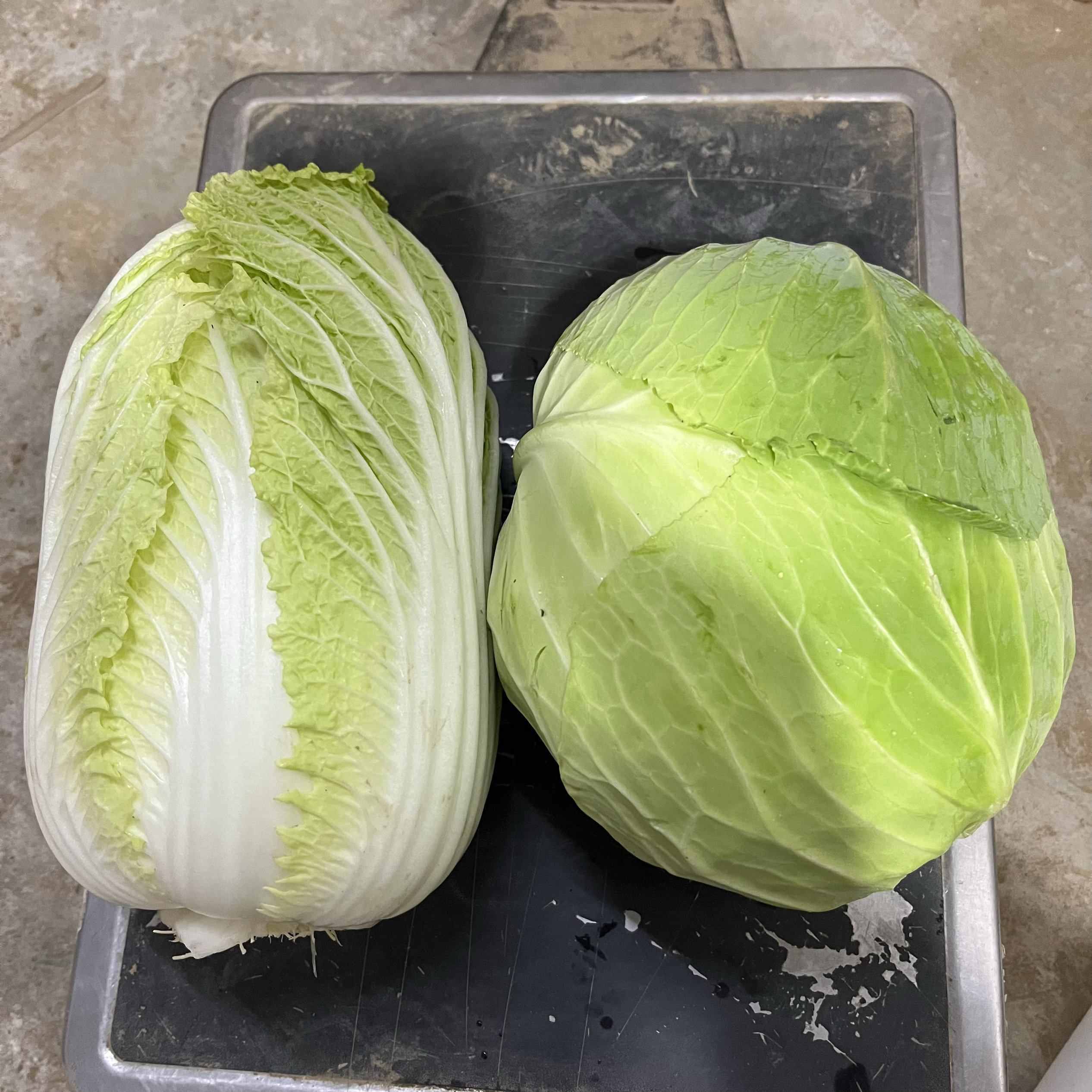 蔬菜组合扁包菜＋白菜新鲜共五斤,水产肉类/新鲜蔬果/熟食,叶菜类,淘宝优惠券,粉丝福利购,淘宝优惠卷