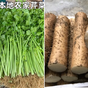 3斤清炒脆山药+2斤嫩芹菜共五斤 重量有要求请备注