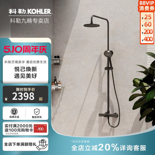 科勒套装全铜家用喷头淋浴花洒