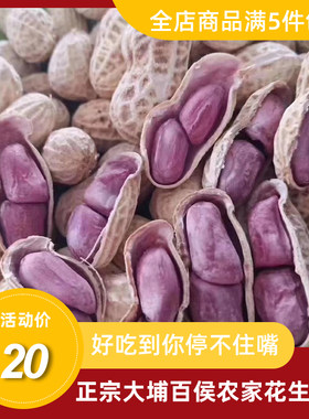 大埔紫衣紫米白米花生客家水煮
