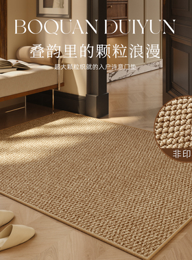 仿剑麻入户门垫高级感可裁剪定制可机洗地毯新款耐脏门口家用脚垫