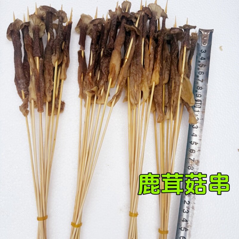 鹿茸菇串串串香钵钵鸡烧烤油炸