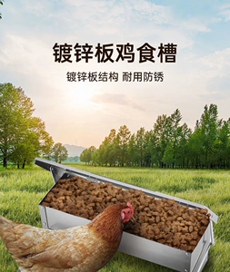 家用鸡鸭防老鼠喂鸡神器防鸟食槽全自动防鸟吃鸡食槽鸡食槽全自动