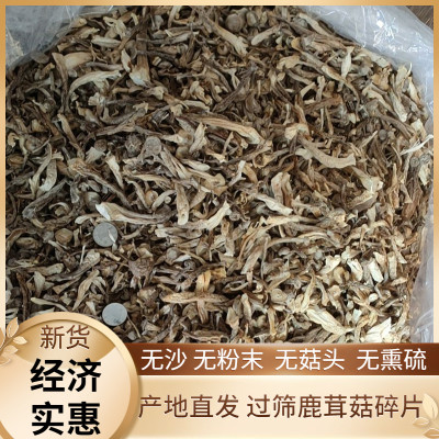 新货无硫鹿茸菇干货碎片