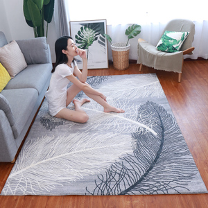 地毯客厅轻奢高级欧式沙发茶几垫现代简约可洗加厚卧室床边毯