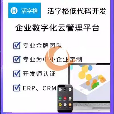 活字格搭建活字格表单搭建活字格私有化活字格本地部署活字格教学