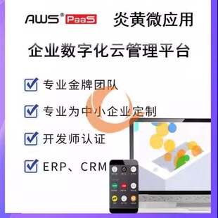 AWS PaaS微应用定制开发AWS Core搭建炎黄paas教学培训视频AWS BI