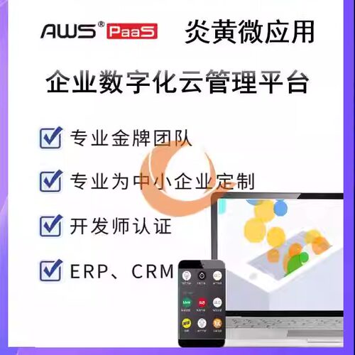 AWS PaaS微应用定制开发AWS Core搭建炎黄paas教学培训视频AWS BI