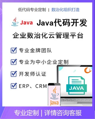 java程序开发JAVA软件开发BUG修复API集成调试代编辑编写计算机程