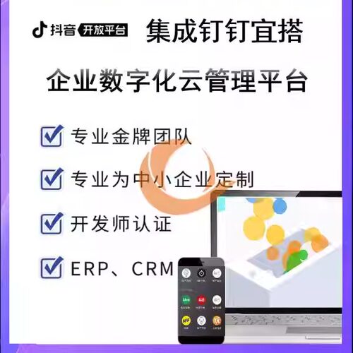 抖音OpenAPI抖音小程序JS API抖音云SDK抖音集成钉钉宜搭对接宜搭