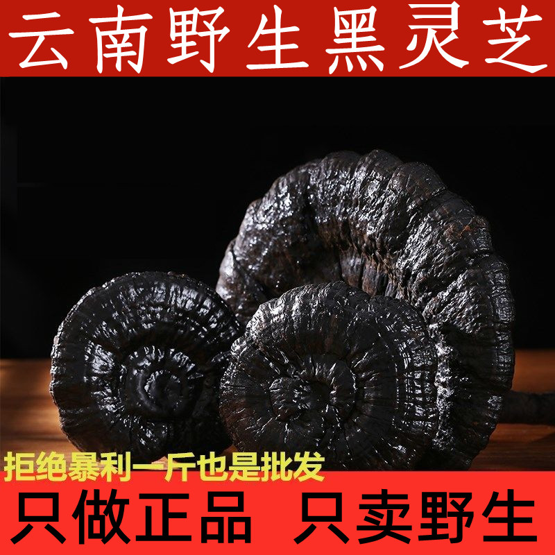 灵芝 野生正品深山天然野生黑灵芝整枝不苦黑芝泡酒煲汤泡茶250克
