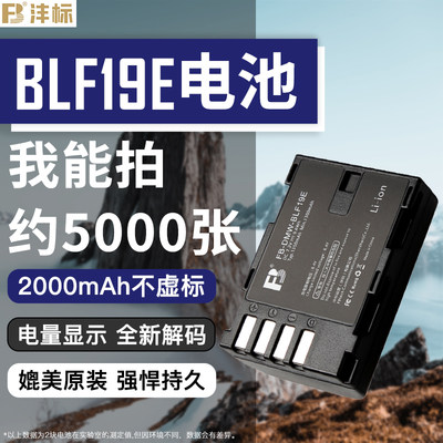 松下DMW-BLF19E电池GH4/5/3GH5S